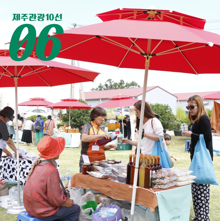 제주10선6.jpg