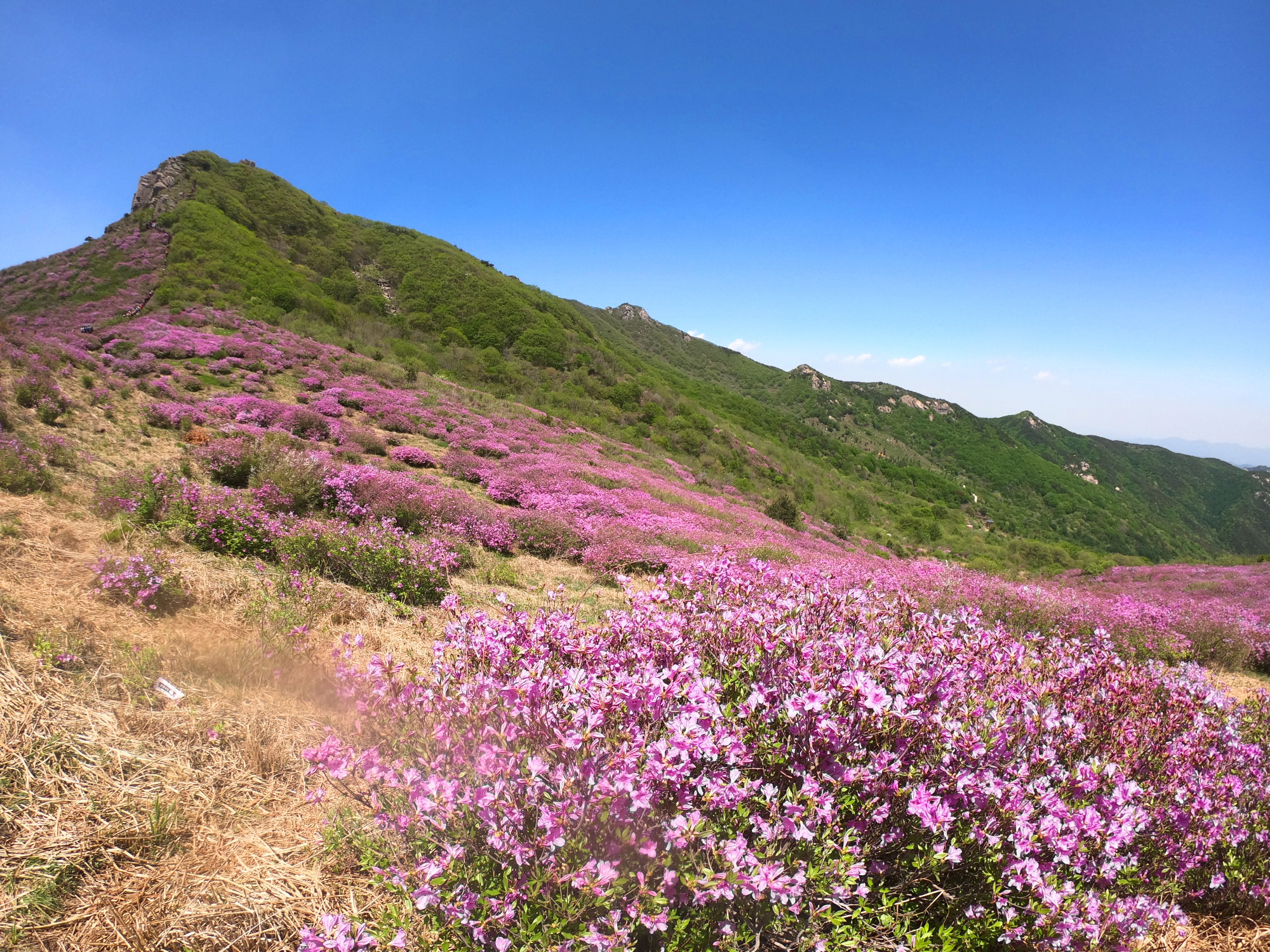 꾸미기_황매산14.jpg