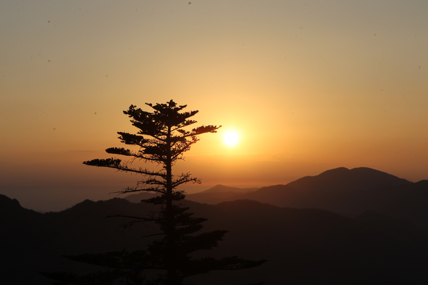 꾸미기_지리산일출 (1).JPG
