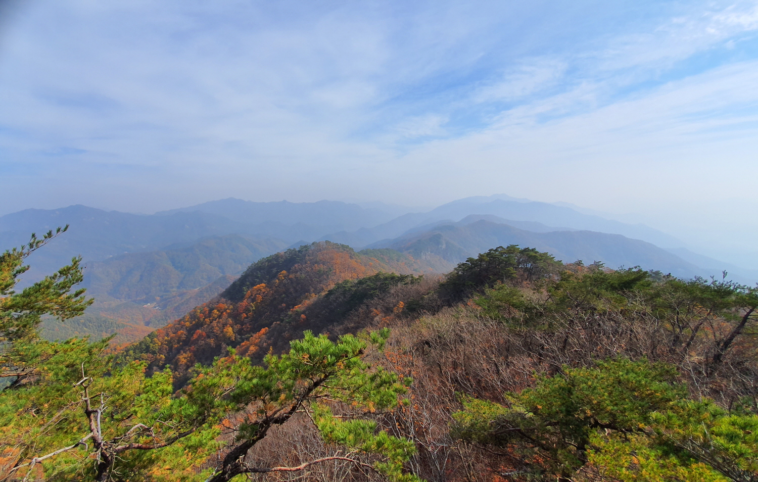 사-8.jpg