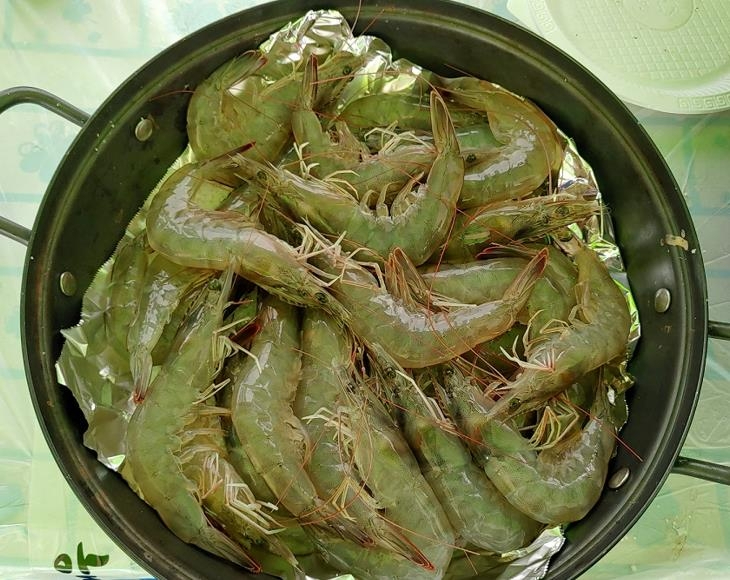 67.jpg