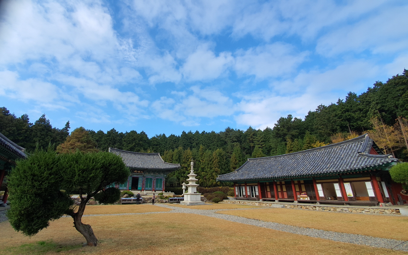 미1.jpg