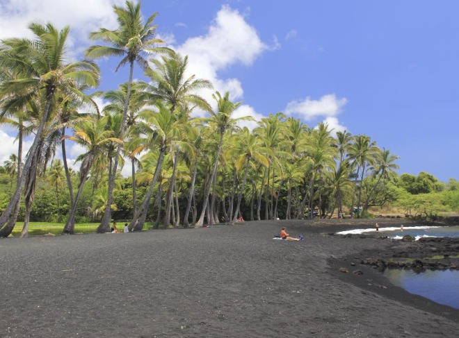 Punaluu Black Sand Beach.jpg
