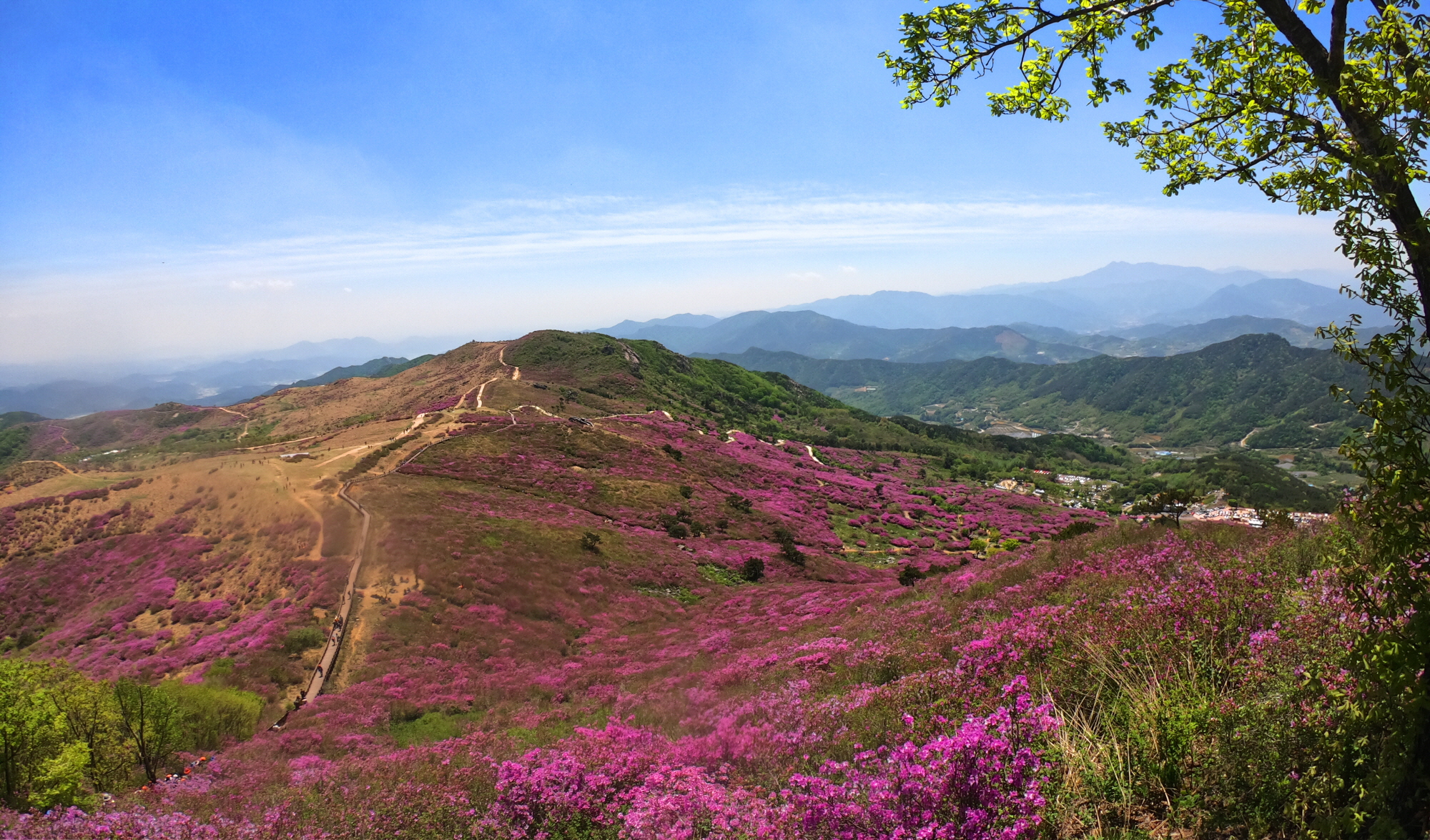 꾸미기_황매산10.jpg