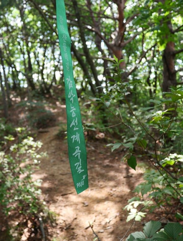 감3.JPG