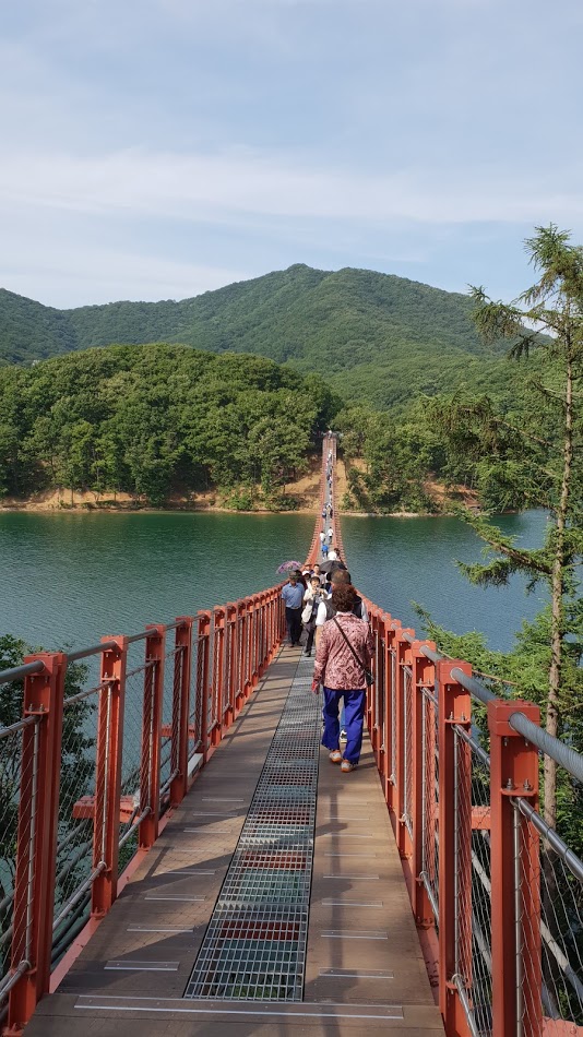 20180622_160256[1].jpg