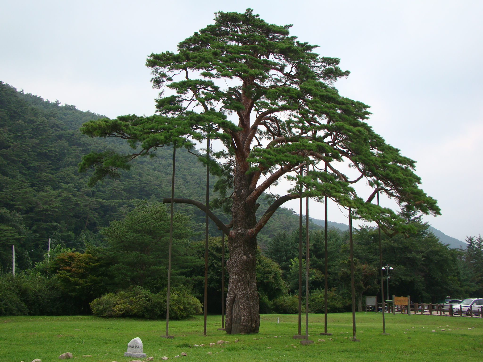 DSC09914.JPG
