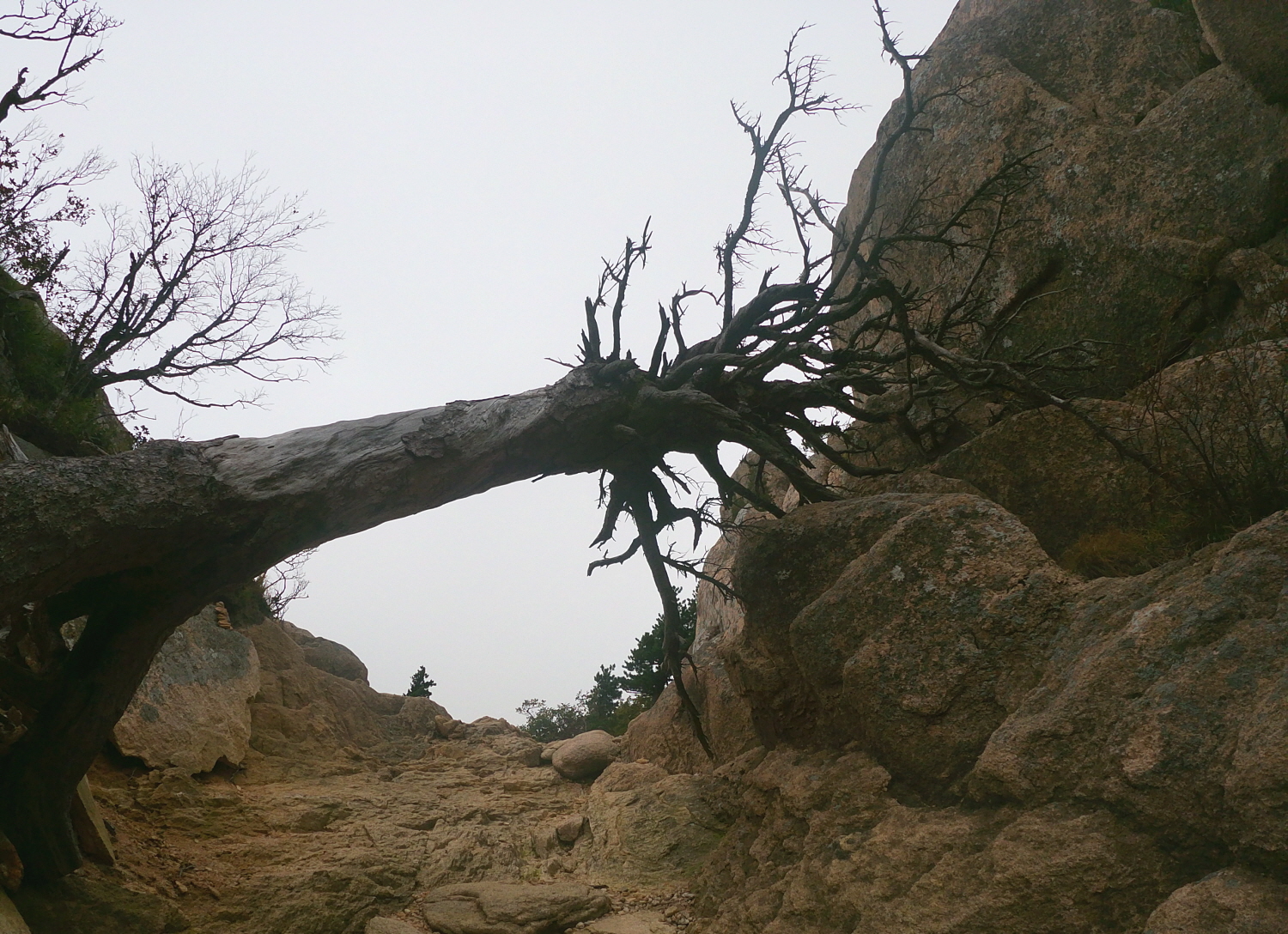 설16.jpg