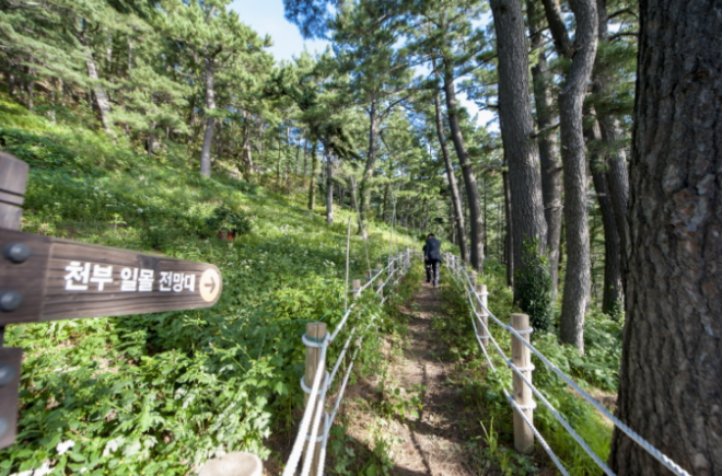 천부1.png