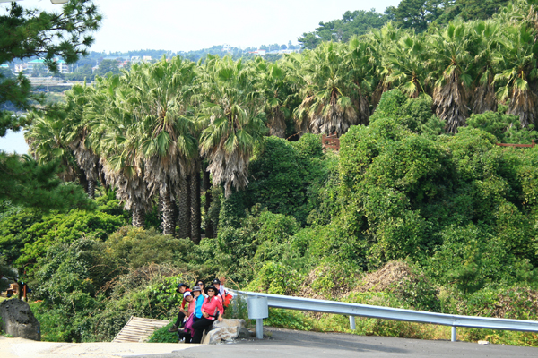 제주1.jpg