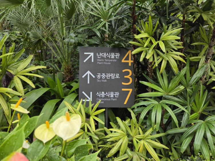 서울2.jpg