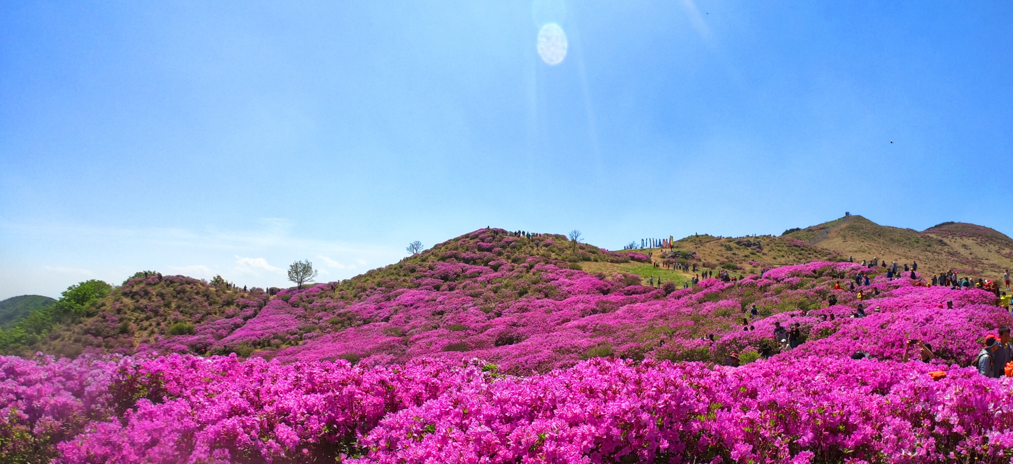 꾸미기_황매산1.jpg