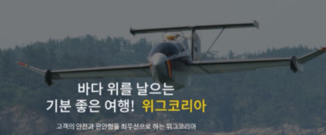 위그1.jpg