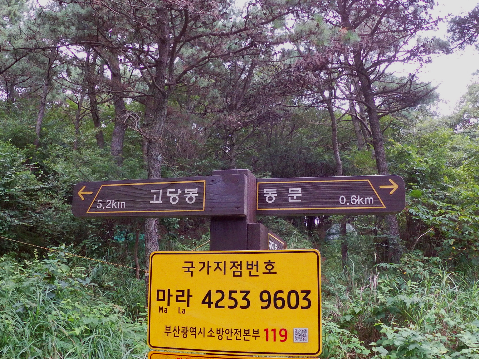 표지4.jpg