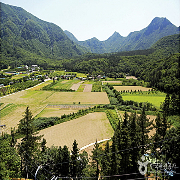 990.jpg