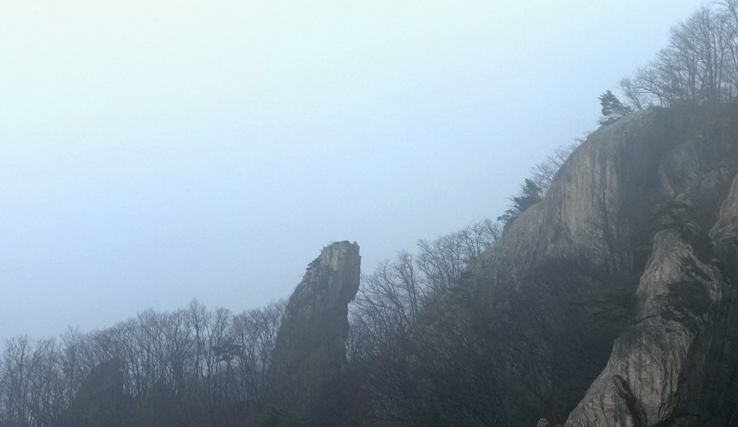 꾸미기_IMG-5501.JPG