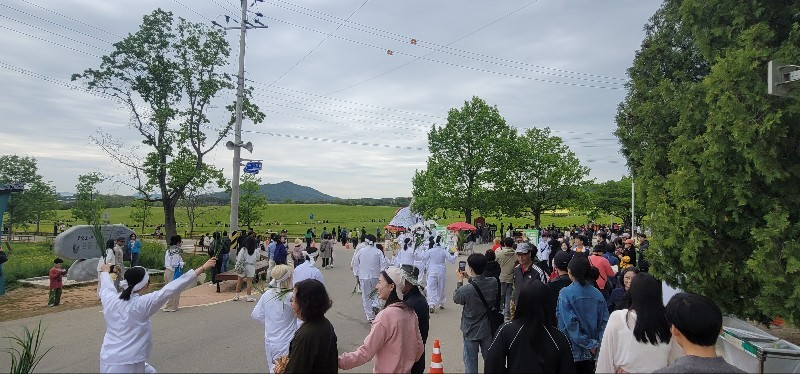 고창청보리밭 축제(3) (1).jpg