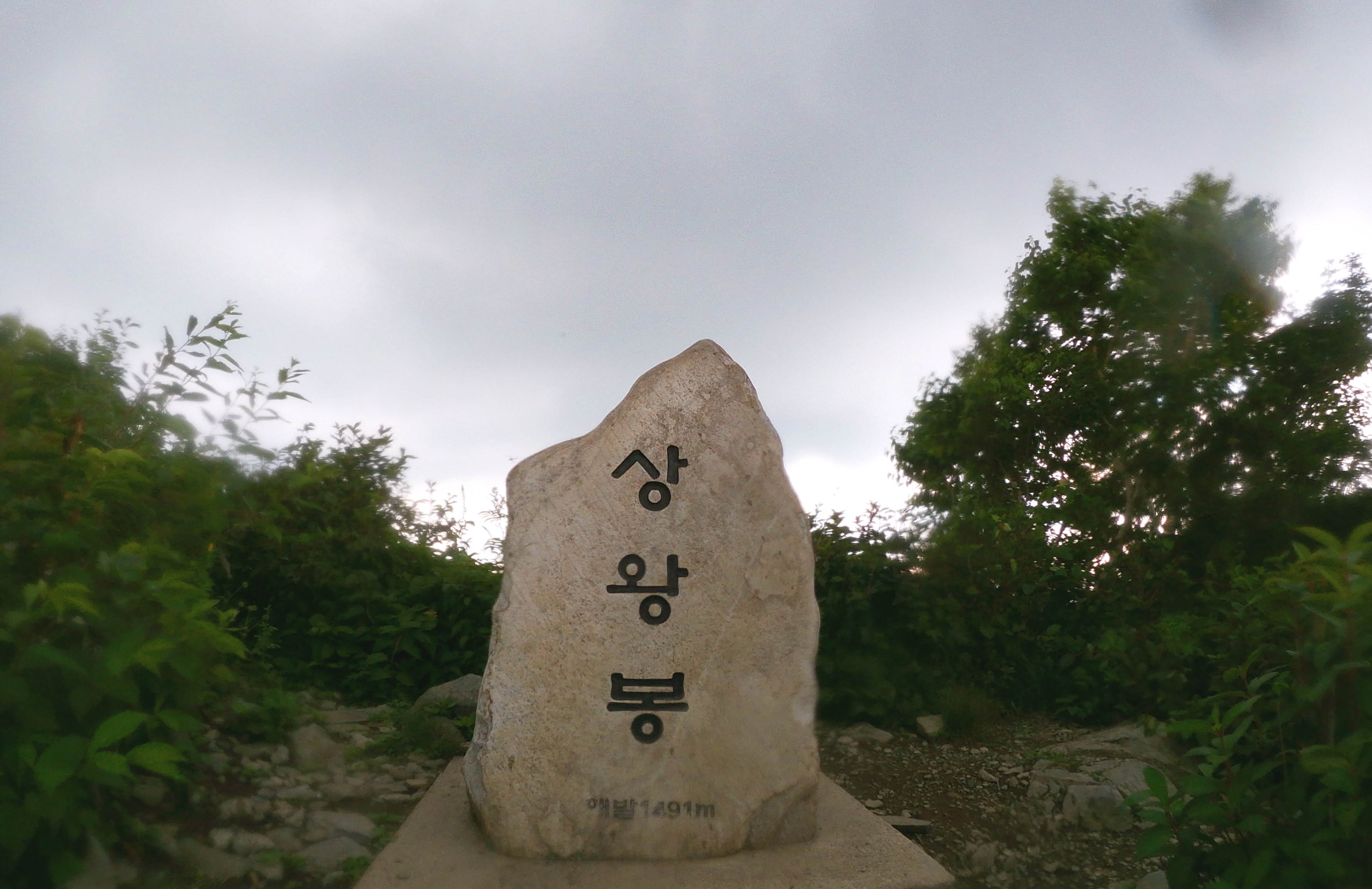 오19.jpg