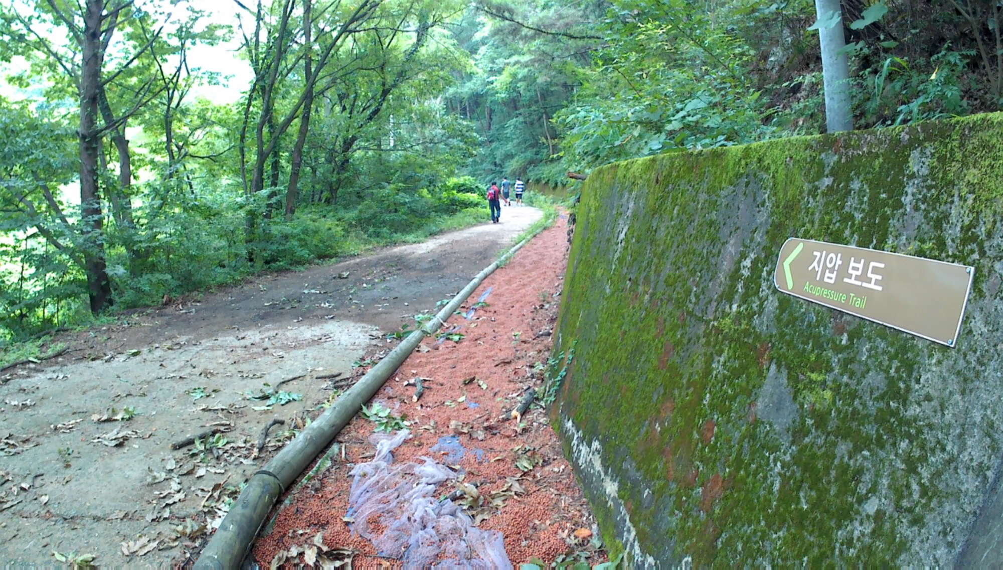 등산로2.jpg