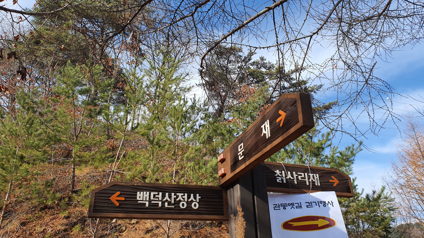 백1.jpg
