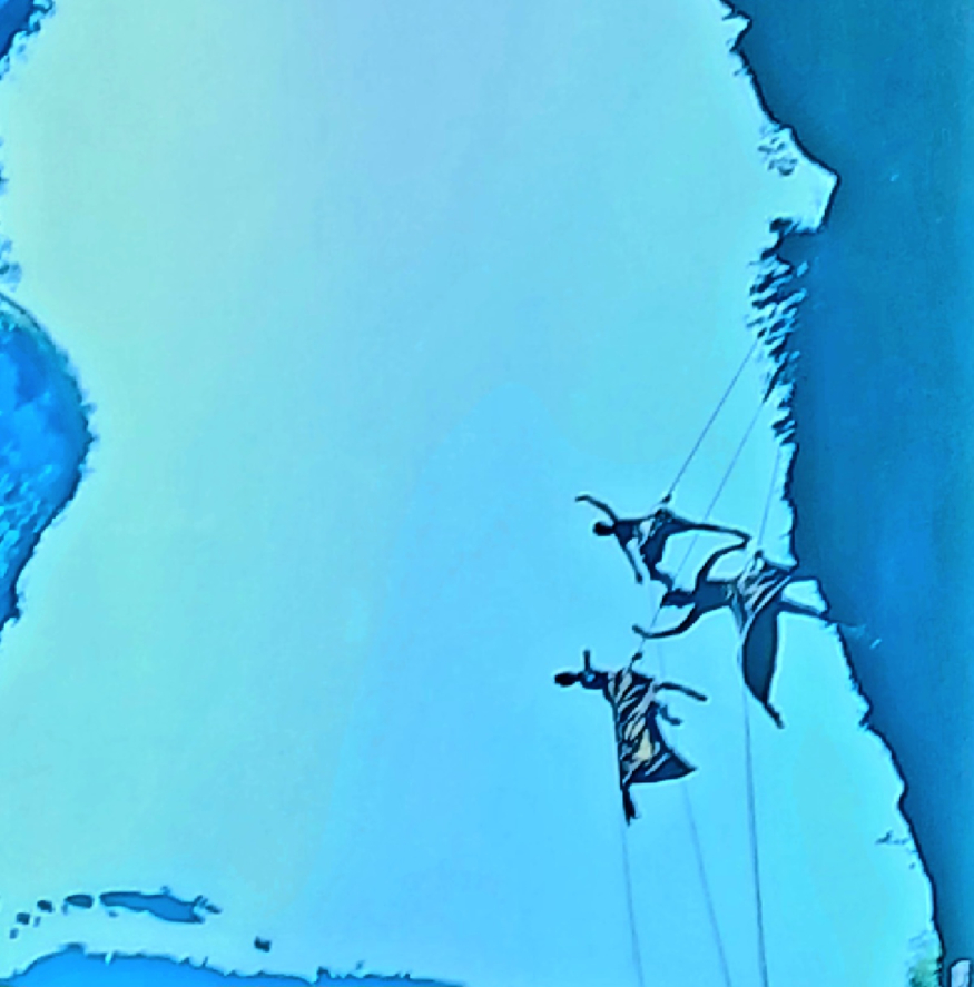 1000016629.jpg