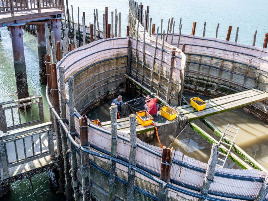 [꾸미기]1123. .jpg