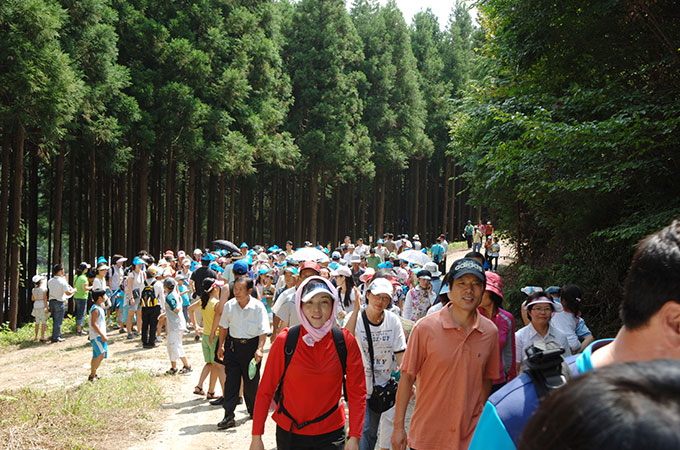festival3_img01.jpg
