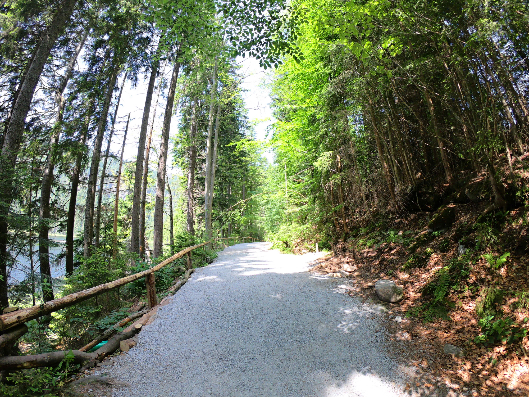 G0018890.JPG