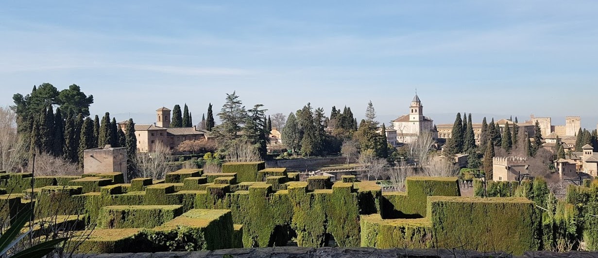 20170307_110455[1].jpg