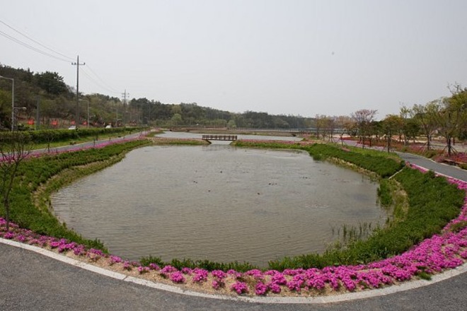 780.jpg