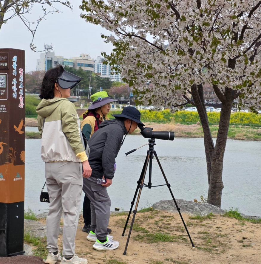 하중도 물새관찰 모습.jpg