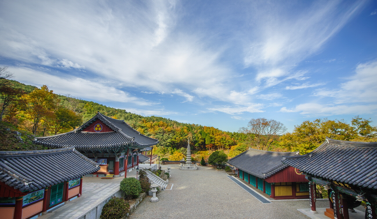 3332.jpg