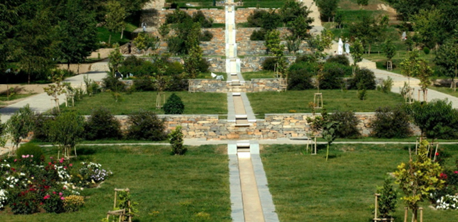 56.jpg