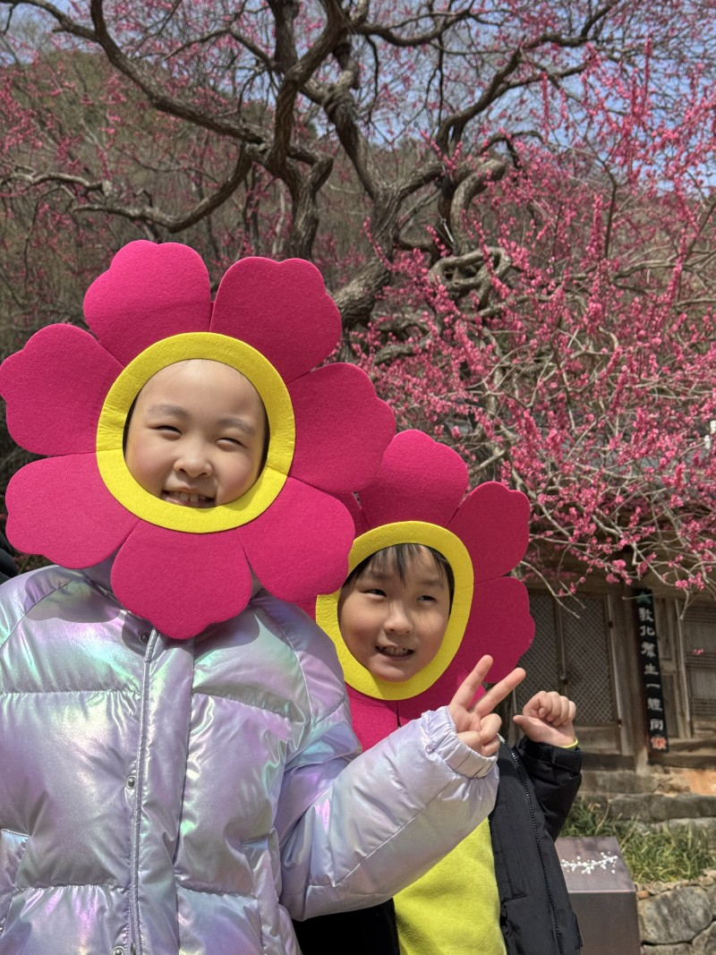 보도자료(20250425_구례군 화엄사,.jpg
