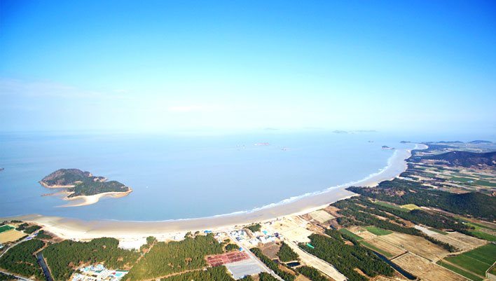 567.jpg