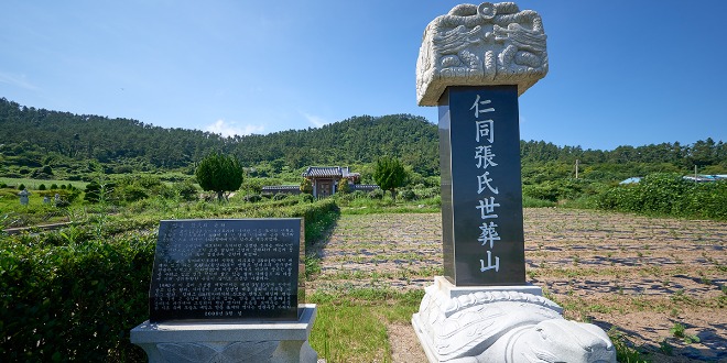 세장비.jpg