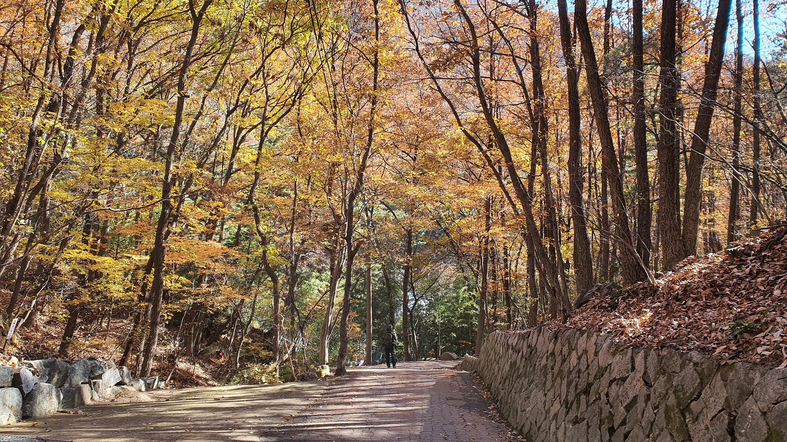 35.jpg