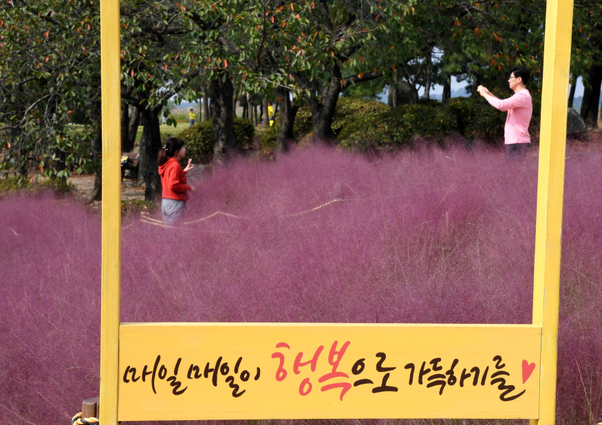 기획보도 사진3_.jpg