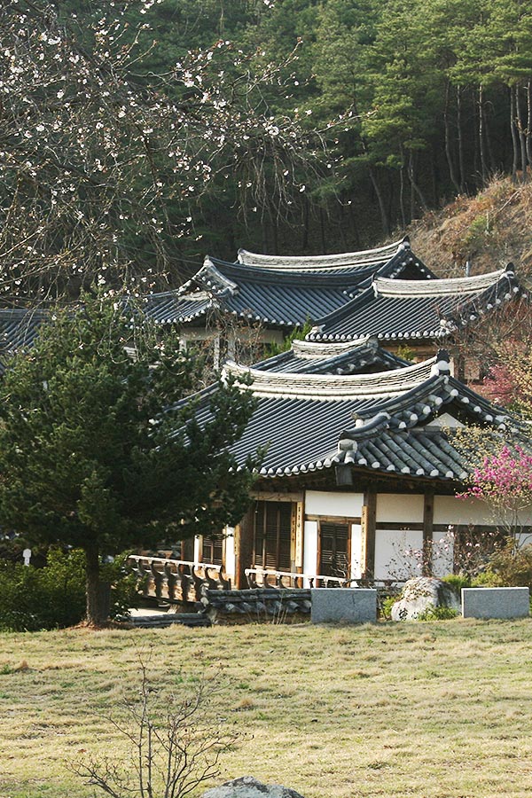 군자마을.jpg