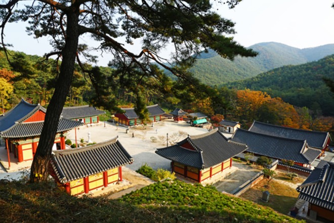 개암5.jpg