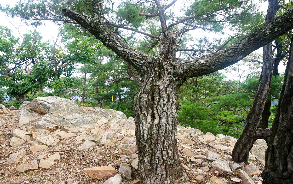삼16.jpg
