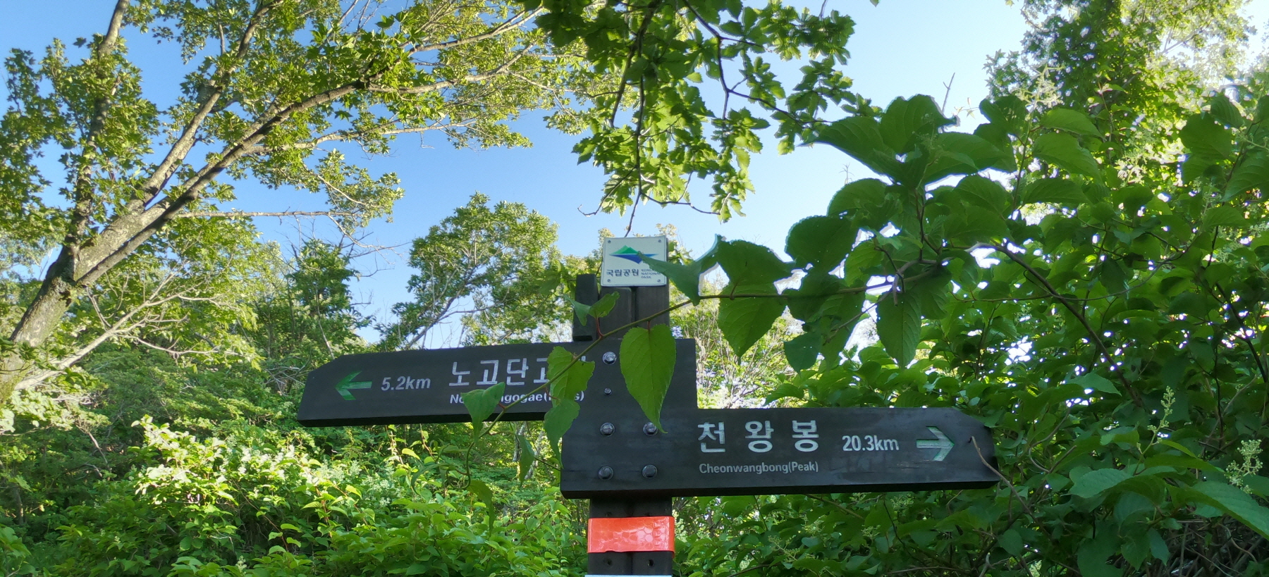 꾸미기_GOPR2731.JPG