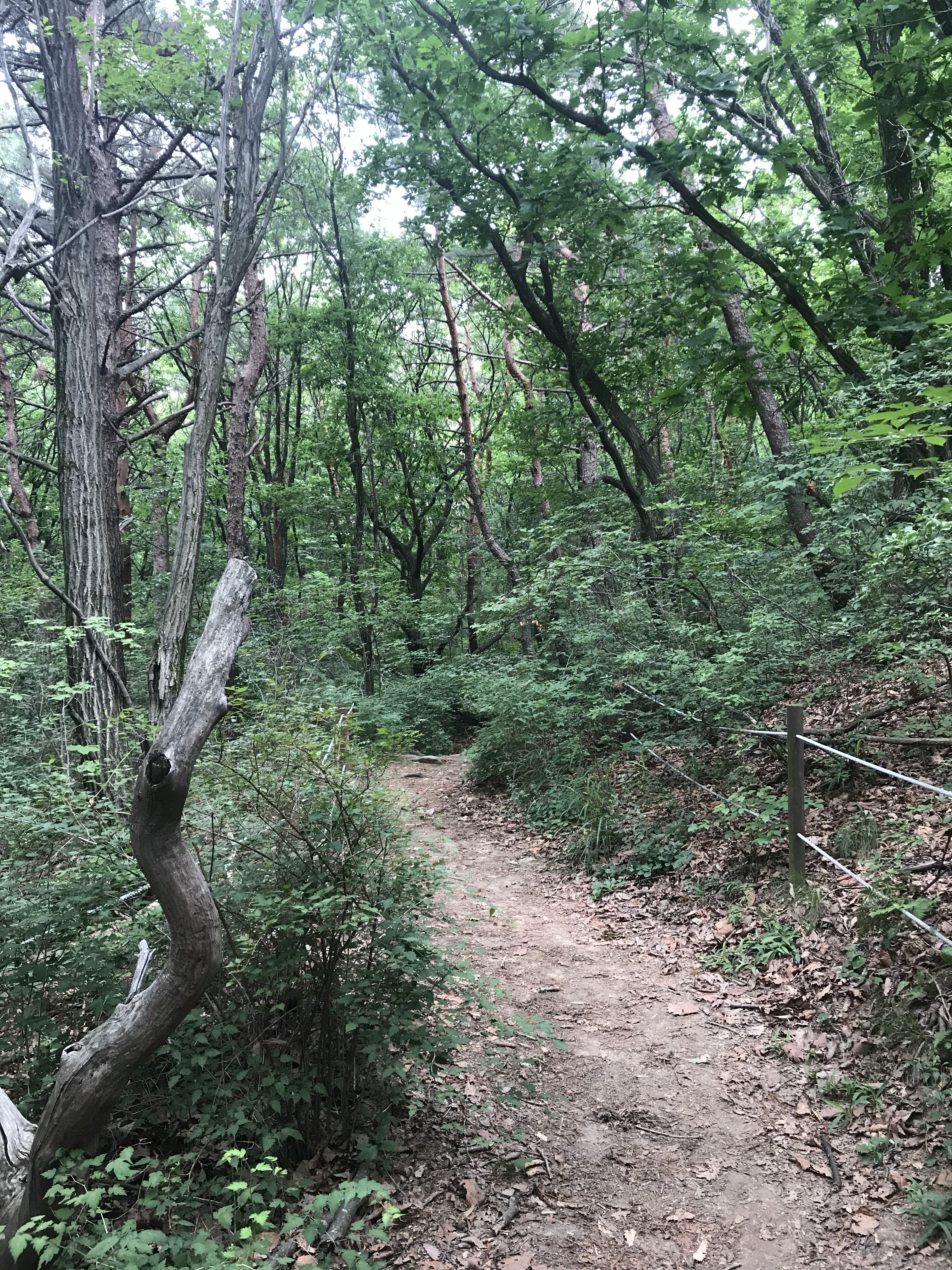 사본 -2.jpg