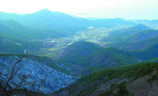 지포신경.jpg