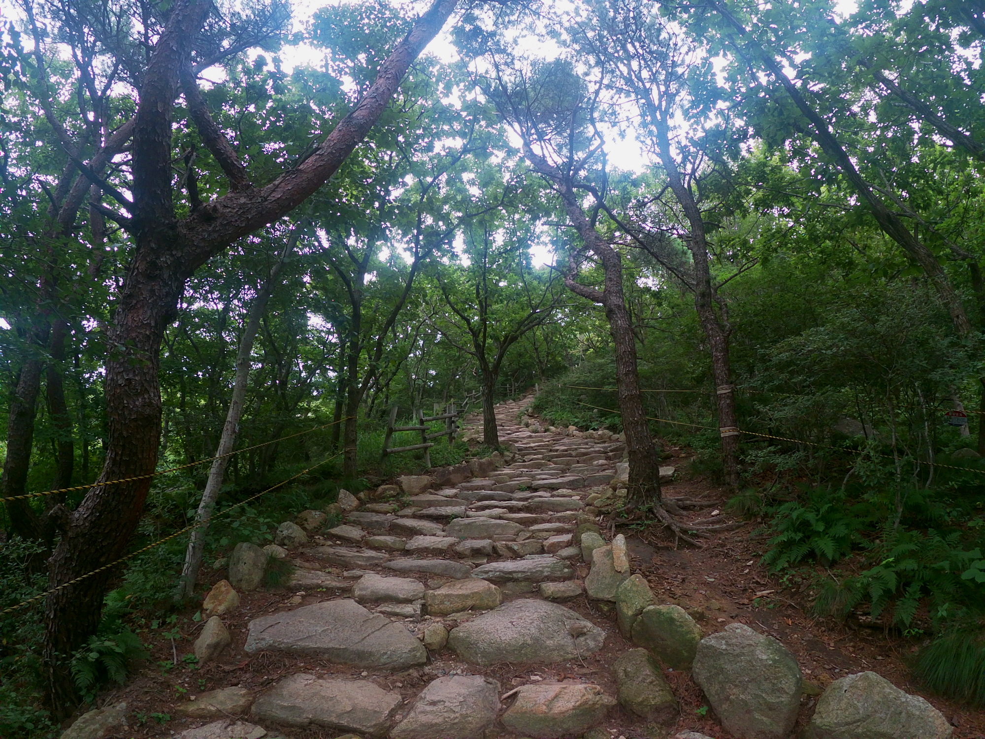 고당봉 등산로.jpg