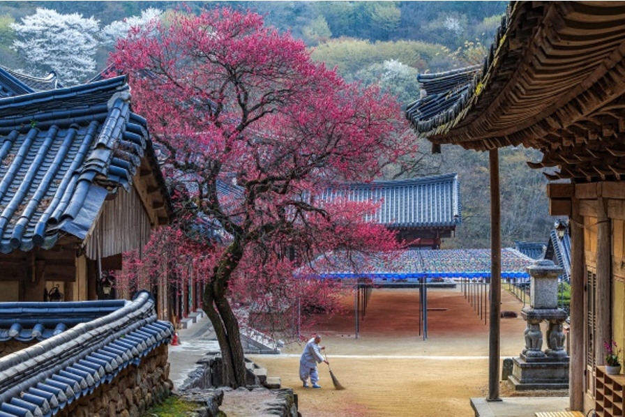 금상-산사의 아침.jpg