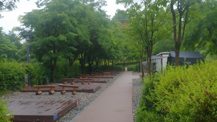 230.jpg