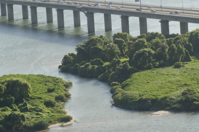 5. 한강 순례길(밤섬).jpeg
