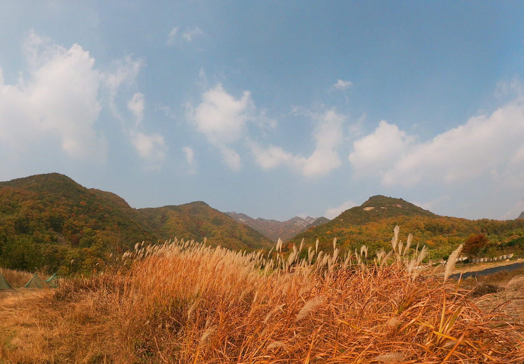 구병산 풍경.jpg