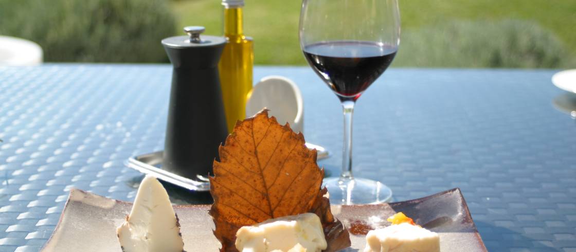 gastronomiec.chillio.jpg